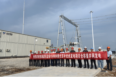 The 150MW Fishery-Photovoltaic Complementary Solar Power Project in Guandong Salt Field, Yancheng City, Connected to the Grid and Began Generating Electricity