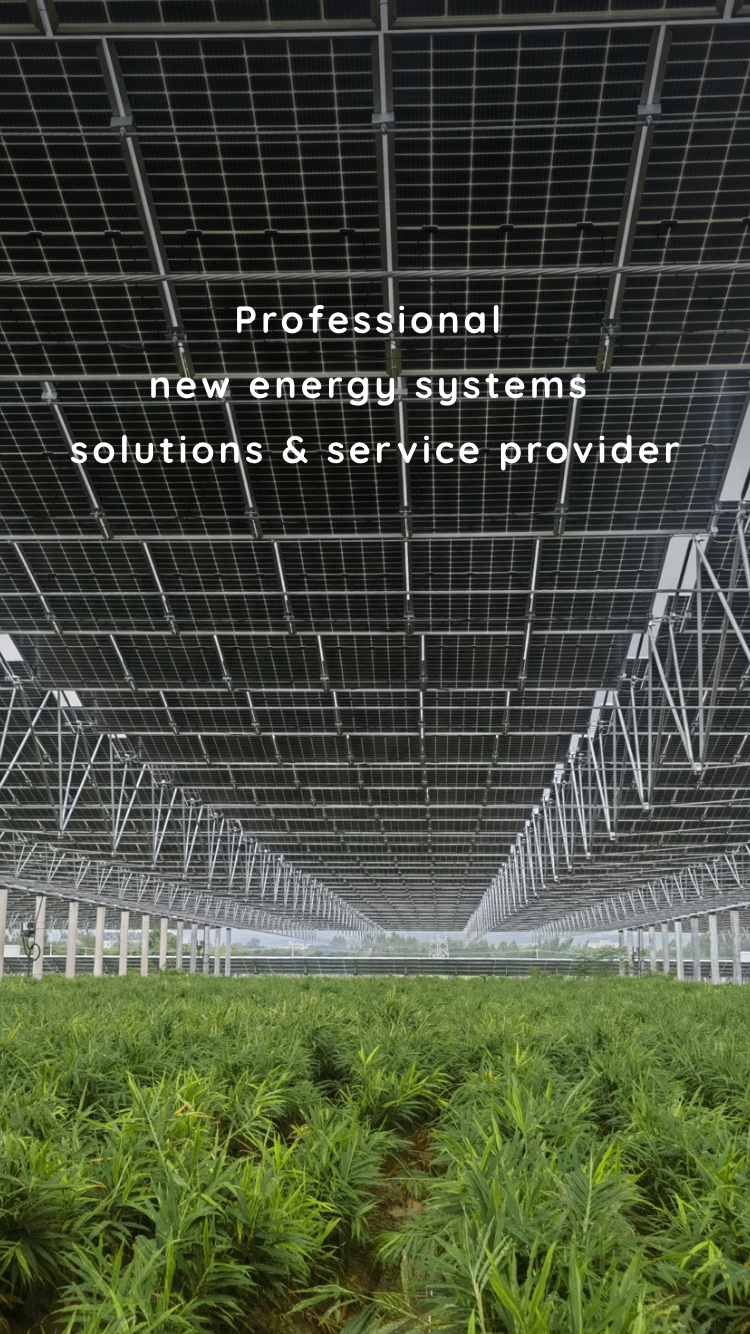 Professional new energy systems solutions & service provider