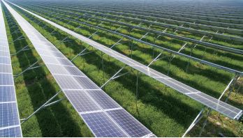 Shenneng-Hongze 7MW complementary photovoltaic power station for agriculture and light