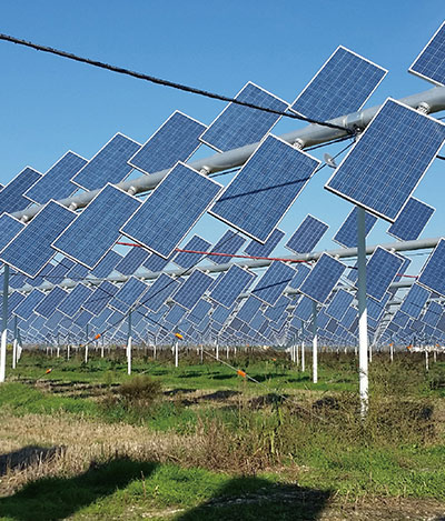 SharePower Feiyi Agricultural and Optical Complementary Technology